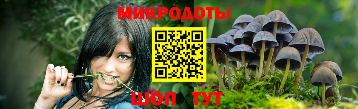 Галлюциногенные грибы GOLDEN TEACHER  дарнет шоп  Дзержинск  Вход с VPN 